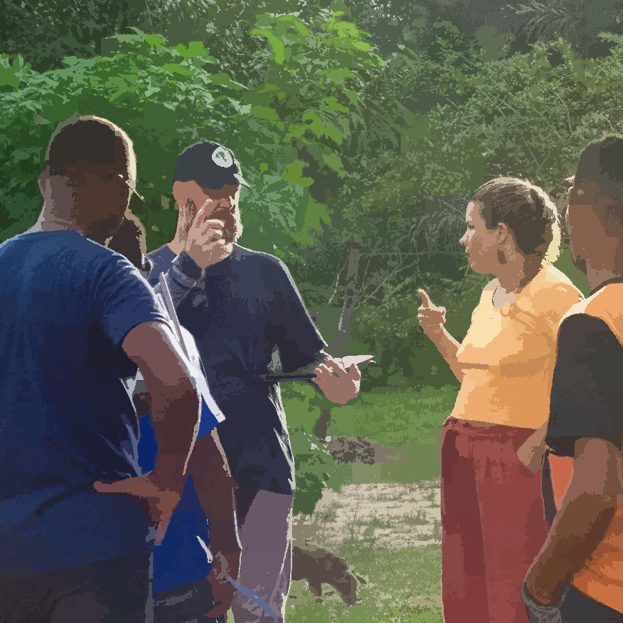 Na pintura podemos observar um grupo de pessoas em um circulo, conversando sobre o projeto, em um ambiente externo. Todas elas estão de pé.